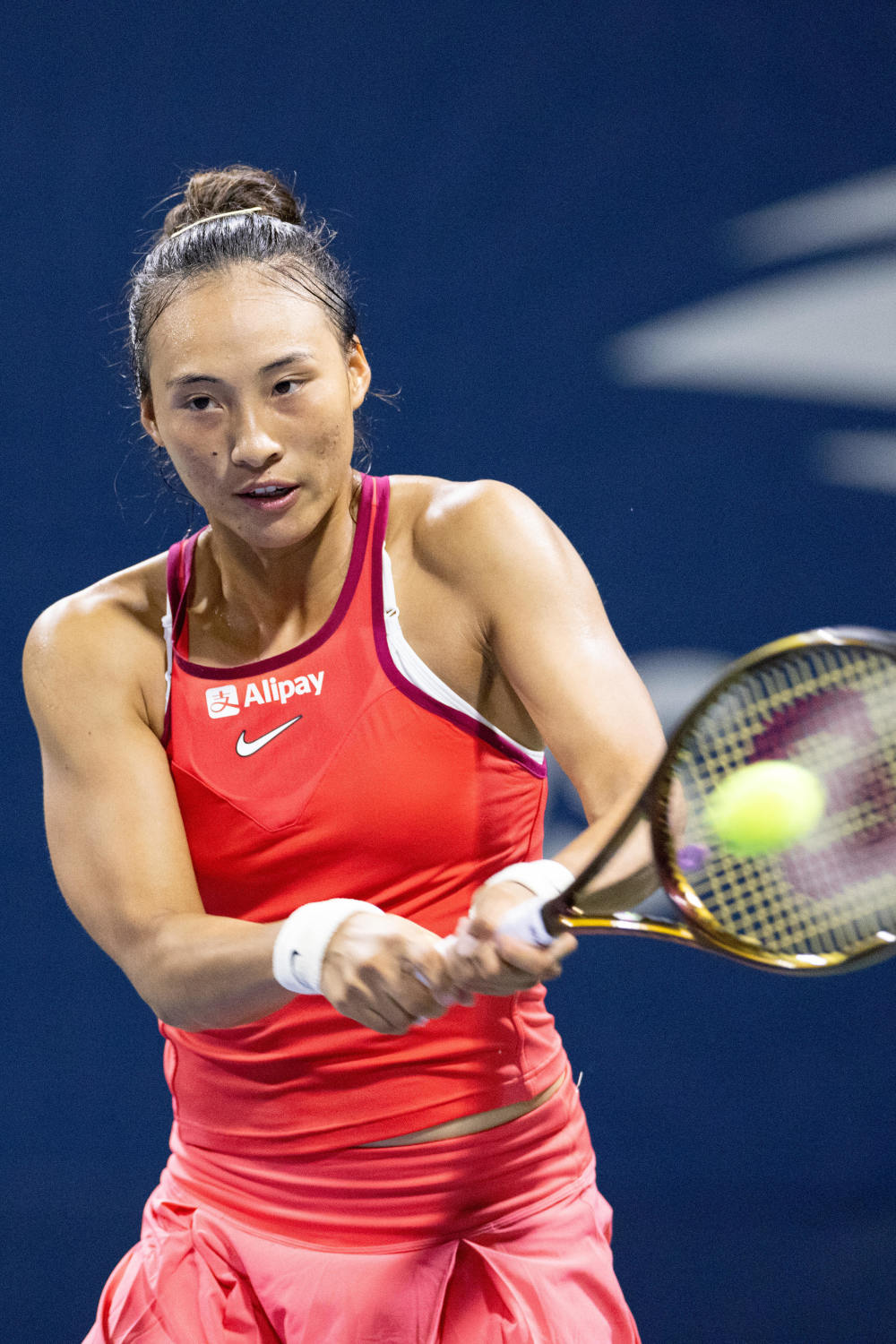 他们的经历 他们的经历