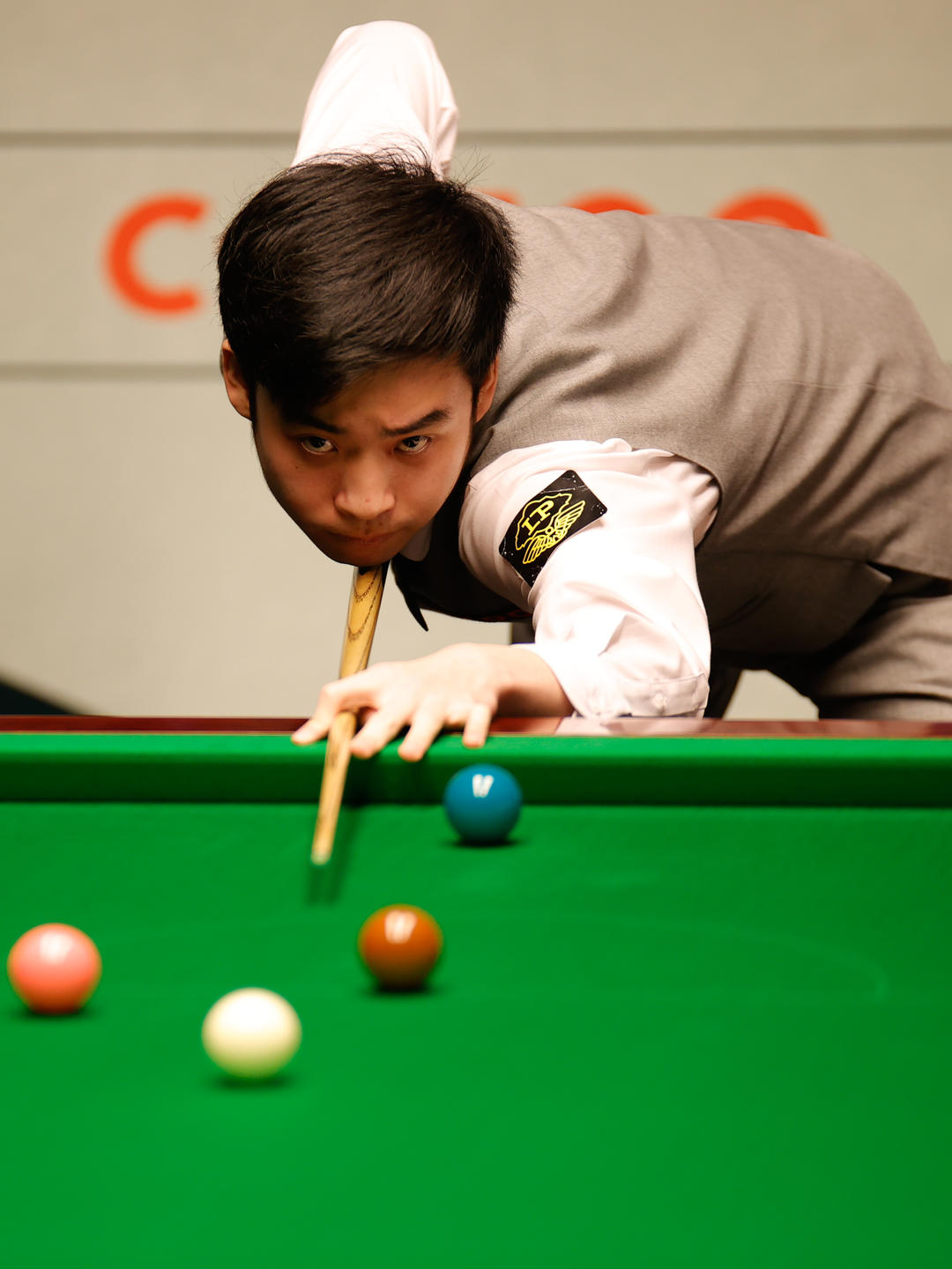 不如将其视 不如将其视